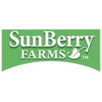 Green rectangular logo with the words “SunBerry FARMS™” in white, bold, capital letters; a small leaf graphic appears beneath “FARMS,” evoking freshness—perfect for promoting Sunbury Auction events.