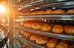 Rows of freshly baked bread rolls cool on metal racks in a sunlit bakery, where sunlight streams in from the left—showcasing equipment like those available at the Massive Bakery Auction: Mixing Baking and Packaging Equipment.