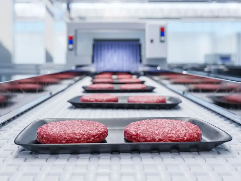 Raw hamburger patties are arranged on black trays, moving along a conveyor belt in a food processing facility equipped with PPT Research: Plant Support Equipment. The background shows industrial equipment and a brightly lit environment.