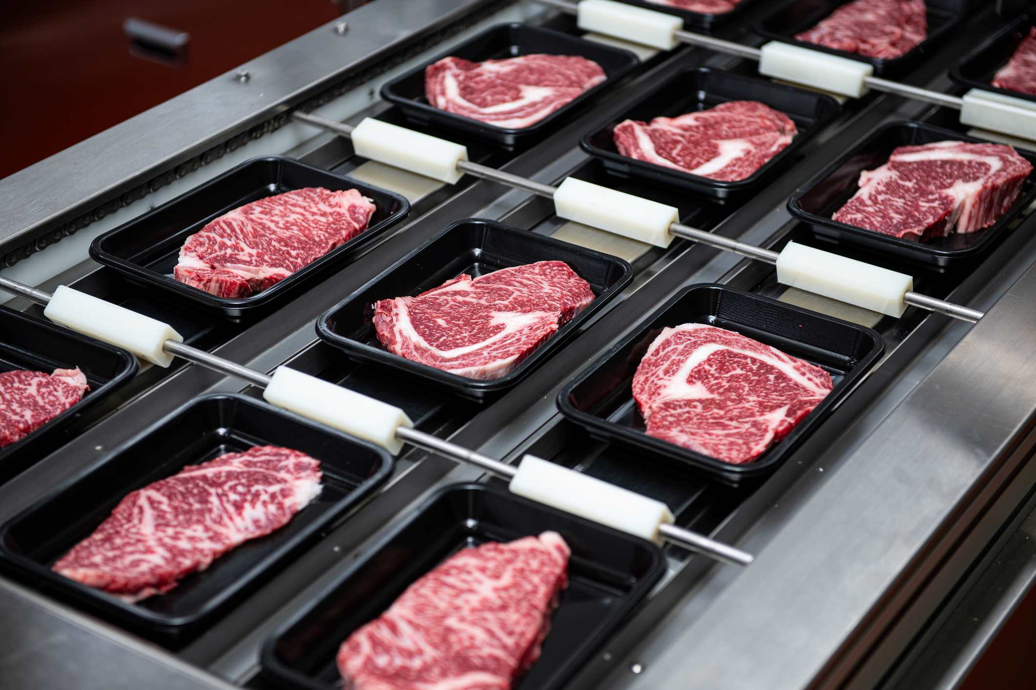 Meat Processing and Packaging Equipment Auction